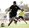 Performance Socks